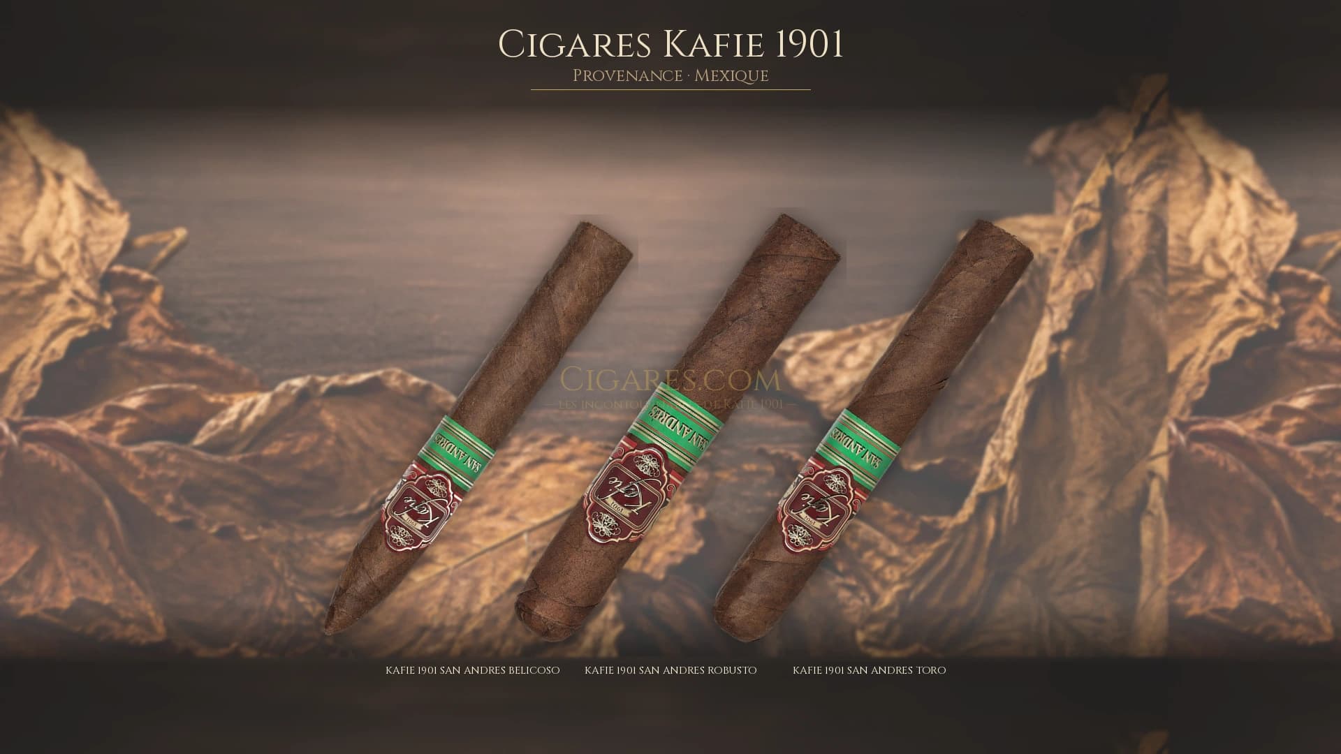 Top cigares Kafie 1901 Mexique — les plus populaires