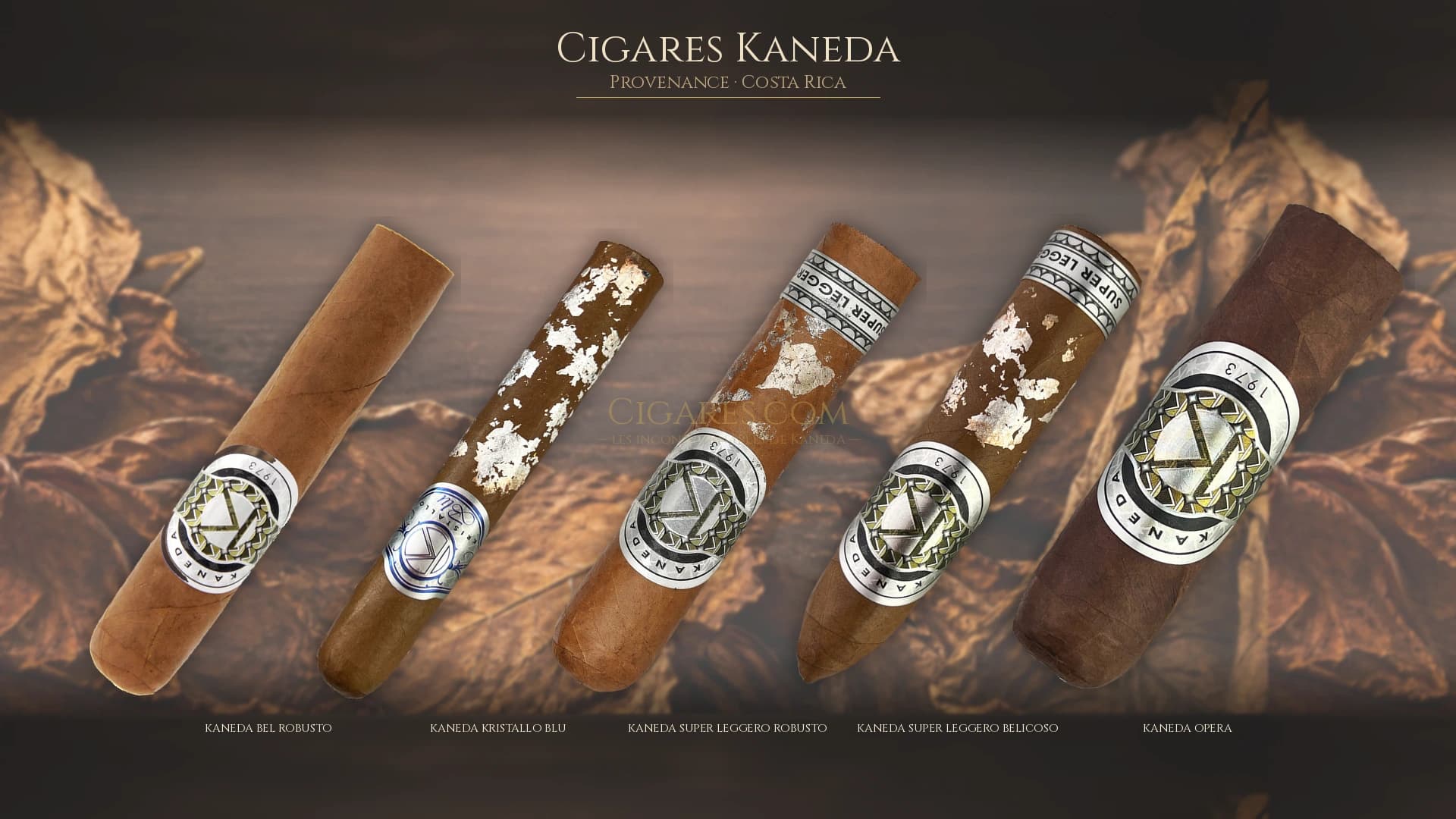 Top cigares Kaneda Costa Rica — les plus populaires