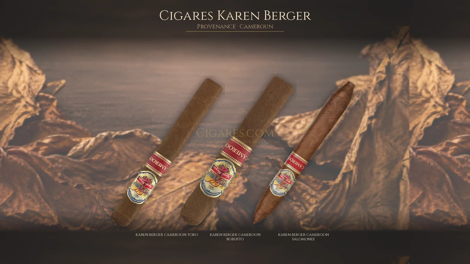 Top cigares Karen Berger Cameroun — les plus populaires