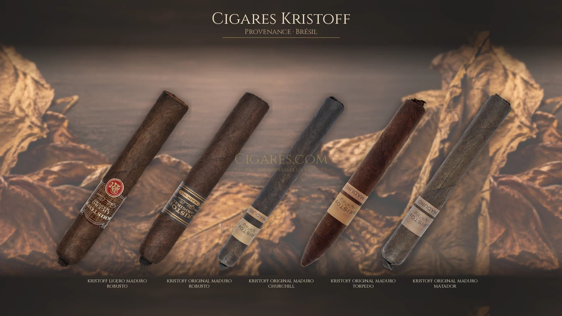 Top cigares Kristoff Bresil — les plus populaires