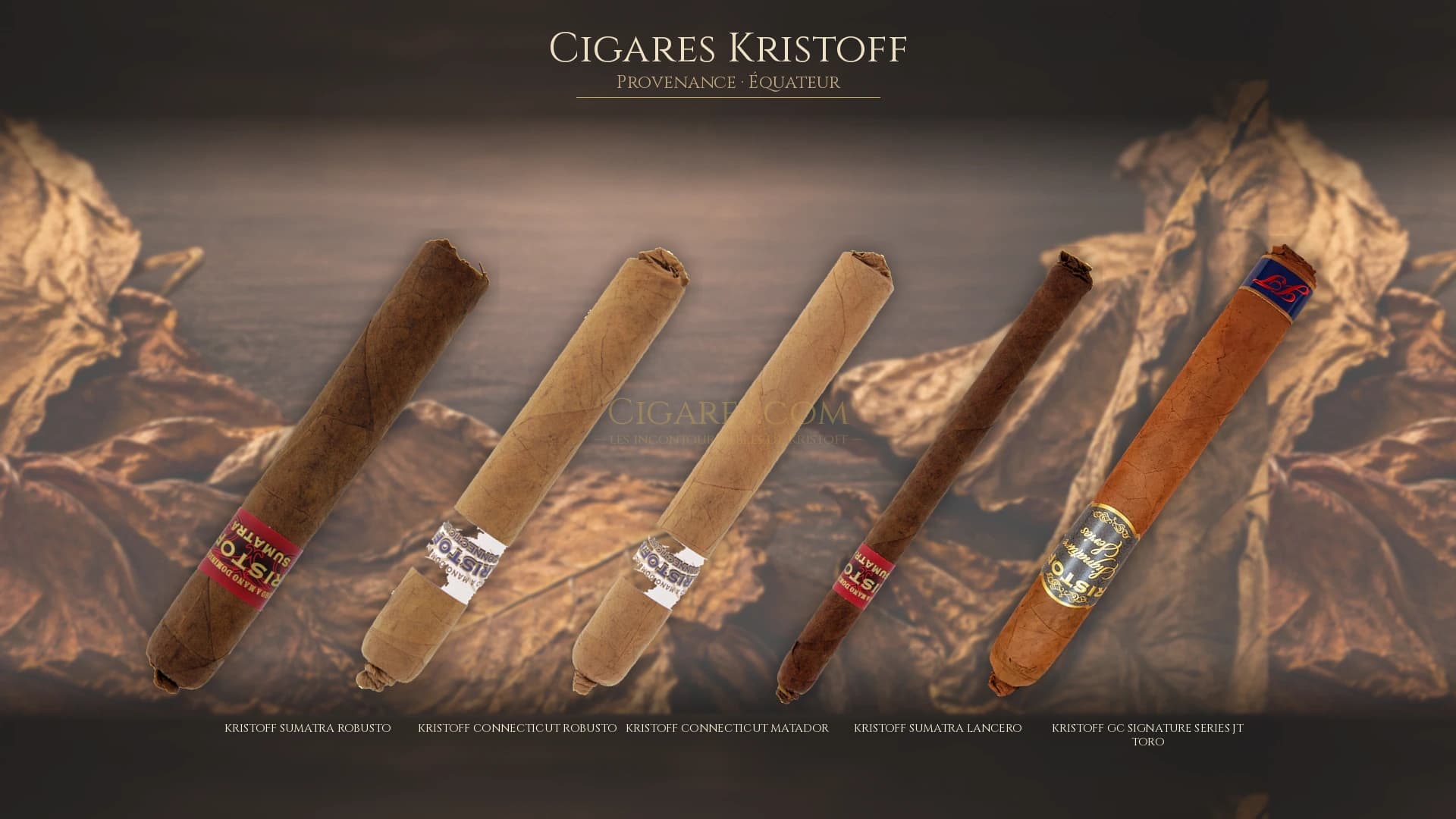 Top cigares Kristoff Equateur — les plus populaires