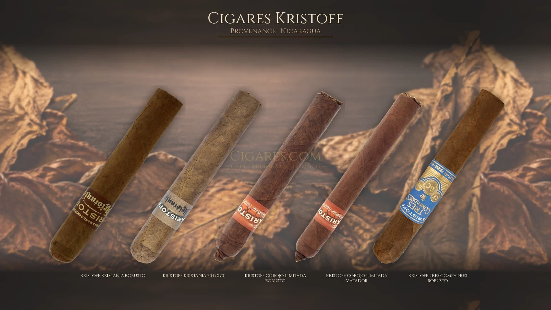 Top cigares Kristoff Nicaragua — les plus populaires