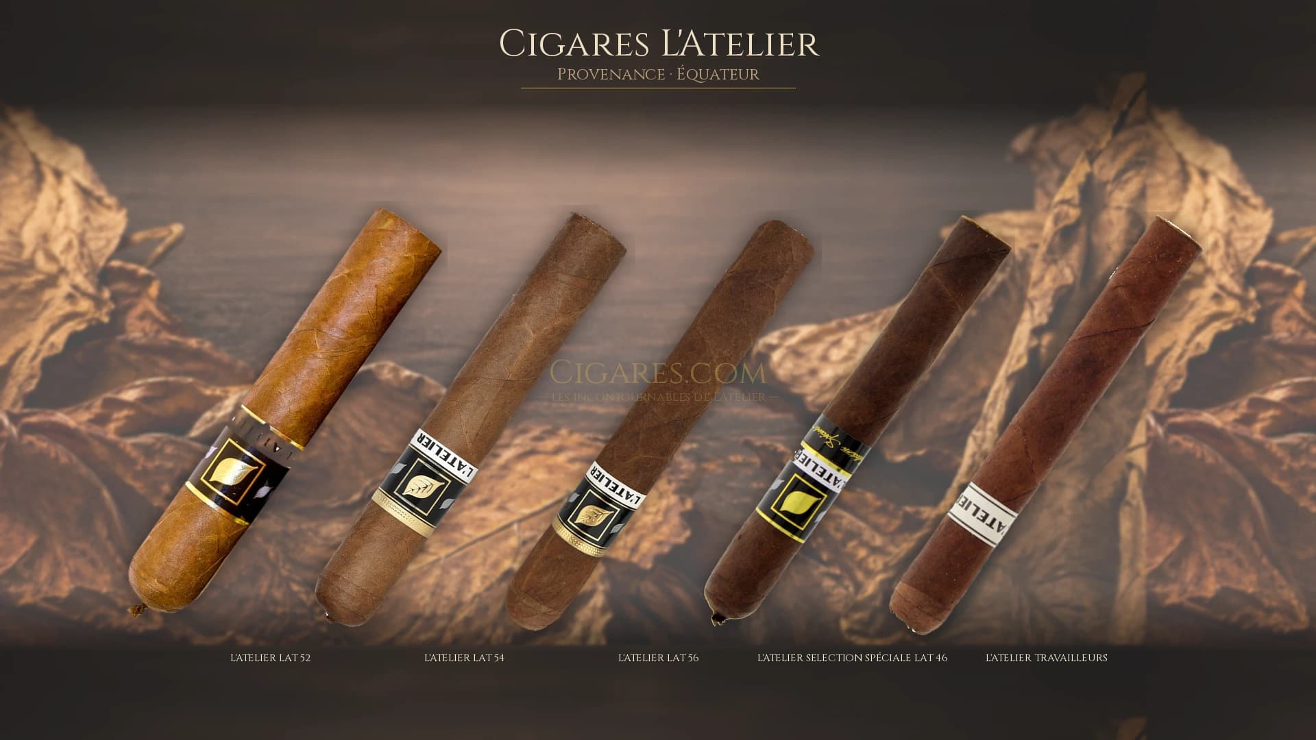 Top cigares L'Atelier Equateur — les plus populaires