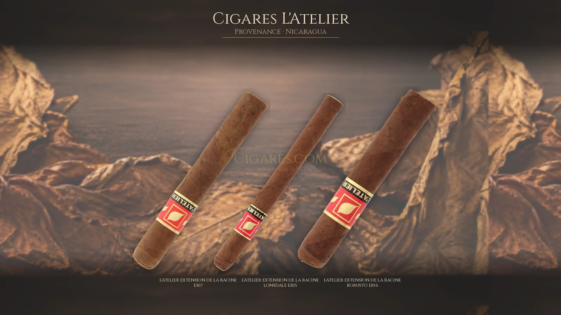 Top cigares L'Atelier Nicaragua — les plus populaires