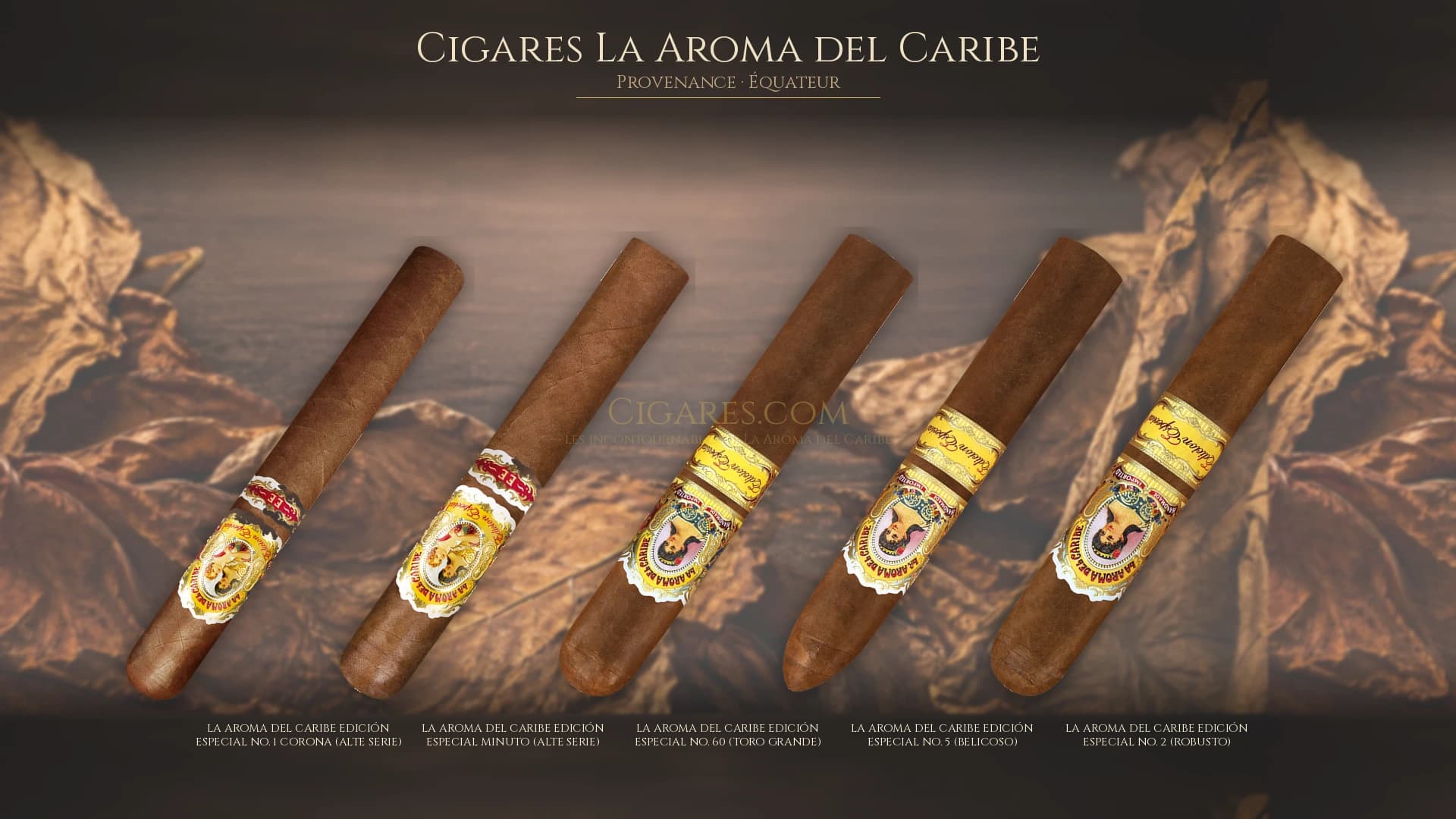 Top cigares La Aroma del Caribe Equateur — les plus populaires