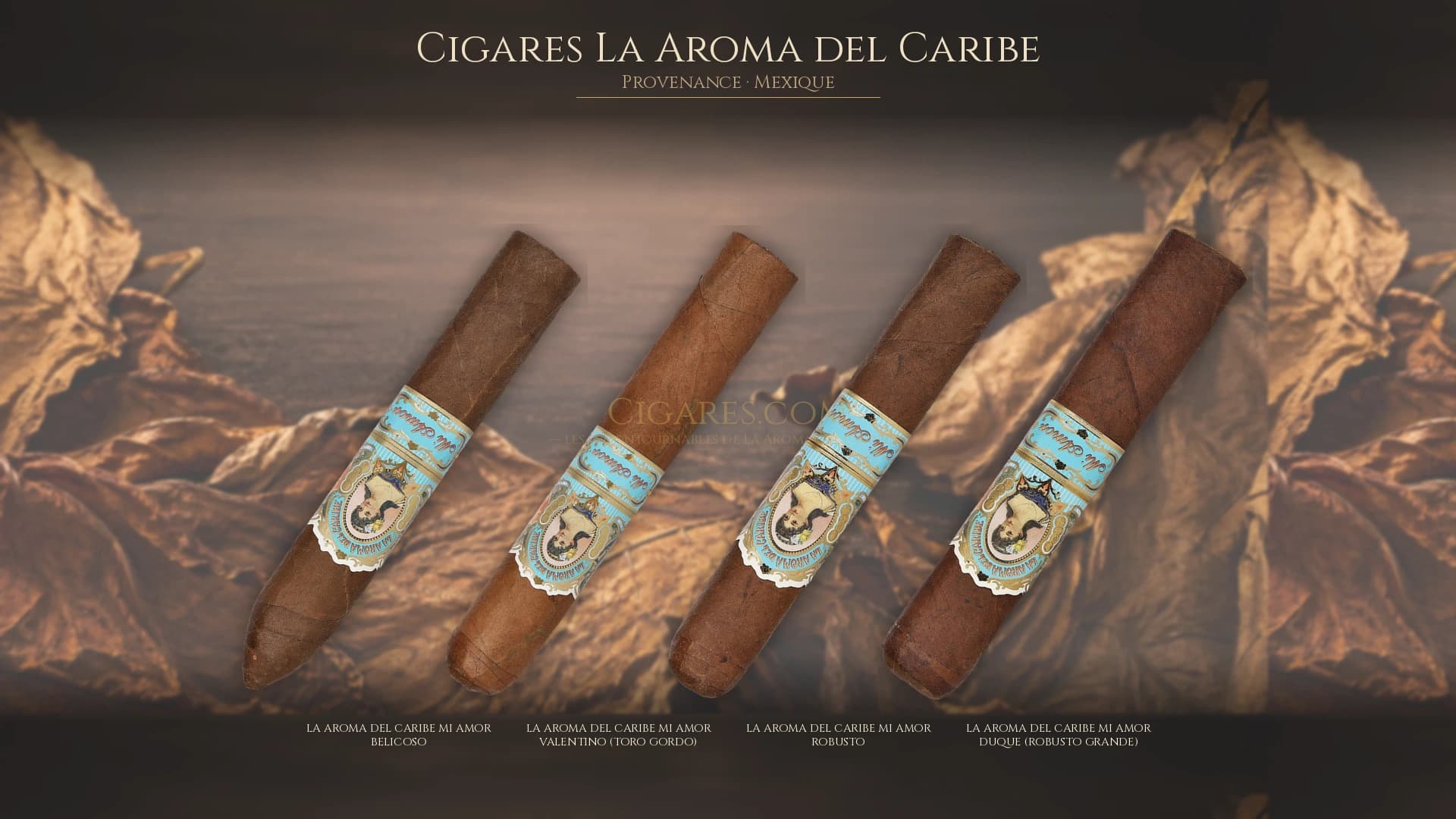 Top cigares La Aroma del Caribe Mexique — les plus populaires
