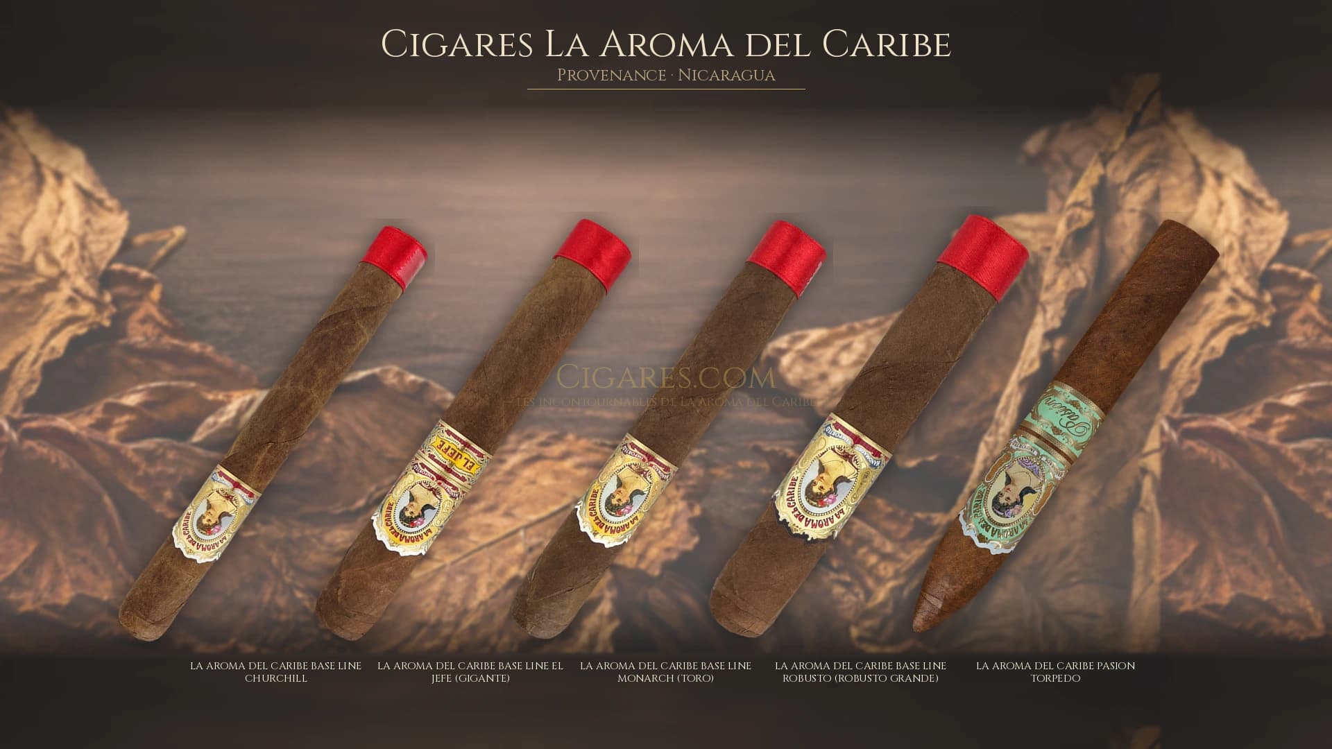Top cigares La Aroma del Caribe Nicaragua — les plus populaires