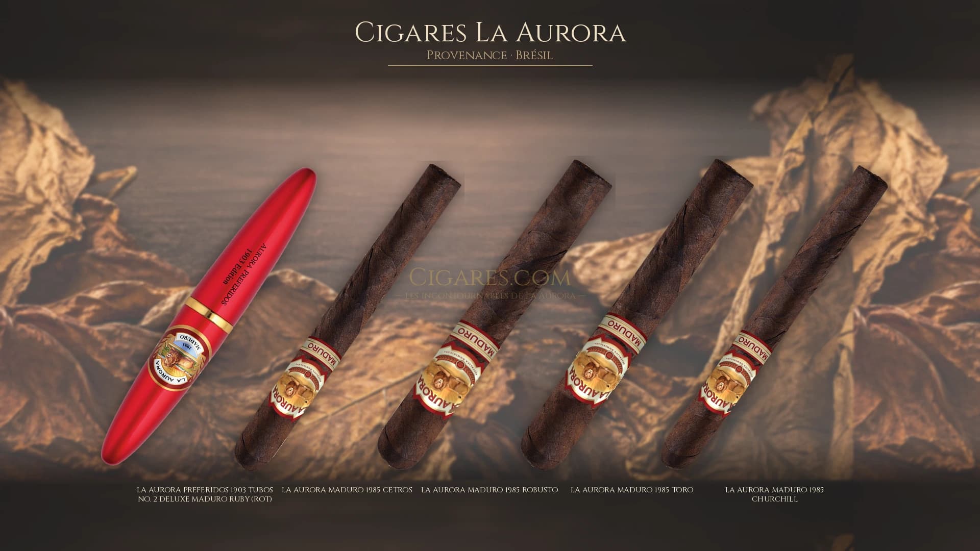 Top cigares La Aurora Bresil — les plus populaires