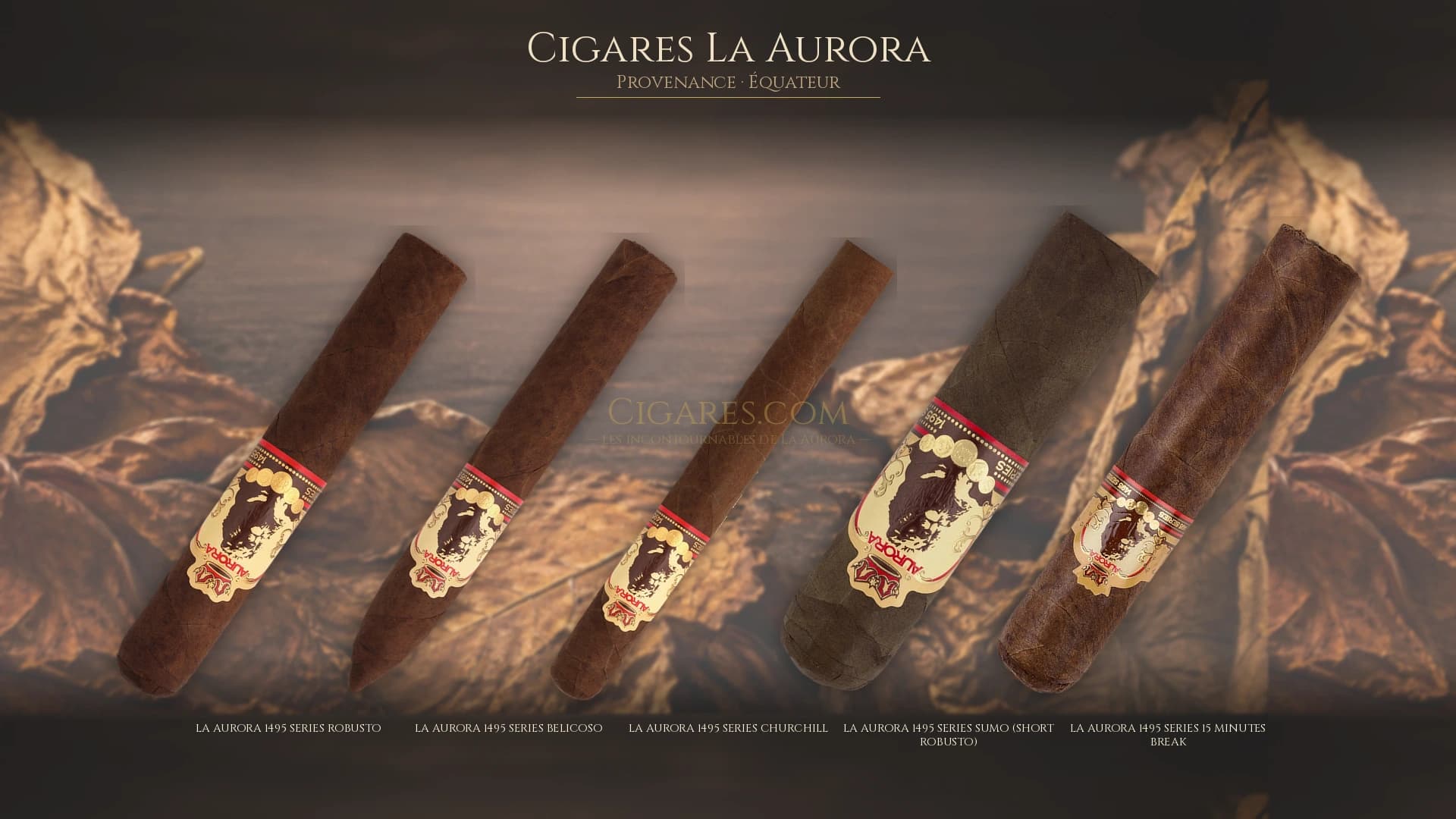 Top cigares La Aurora Equateur — les plus populaires