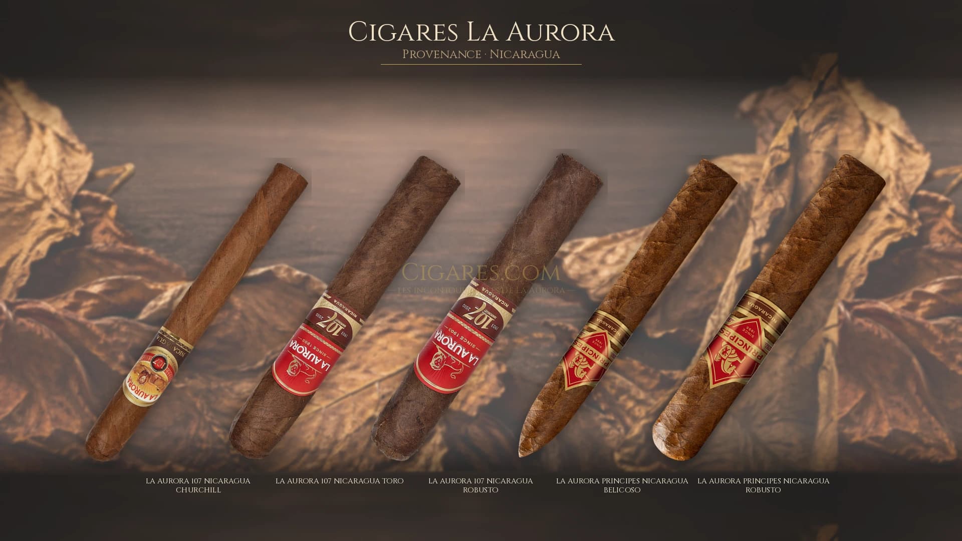 Top cigares La Aurora Nicaragua — les plus populaires