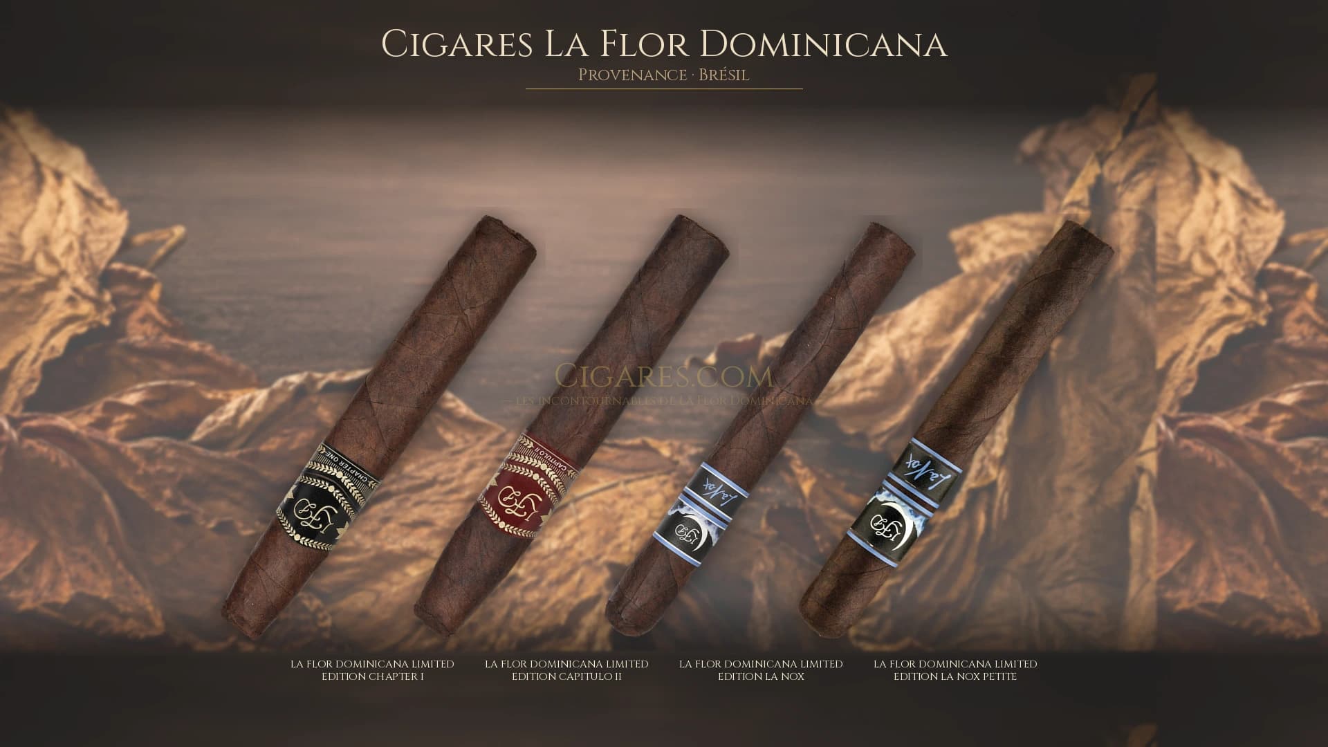 Top cigares La Flor Dominicana Bresil — les plus populaires