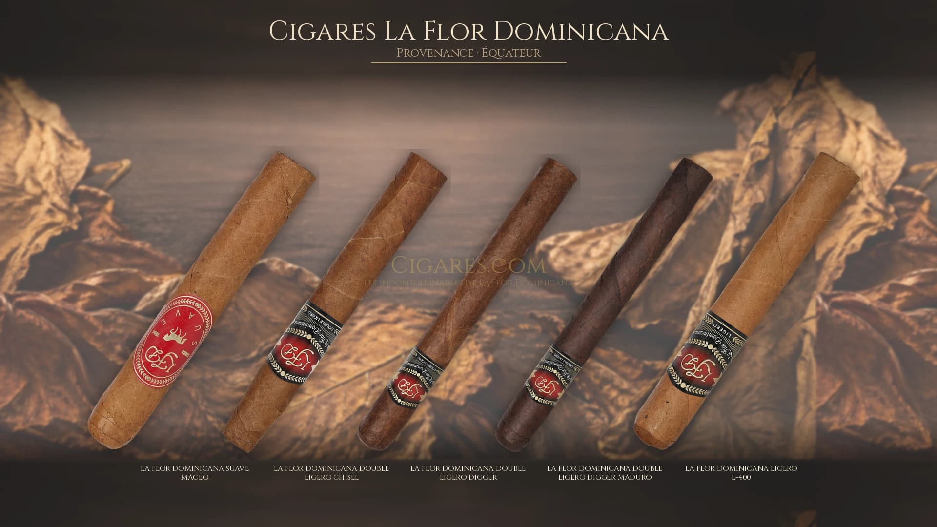Top cigares La Flor Dominicana Equateur — les plus populaires