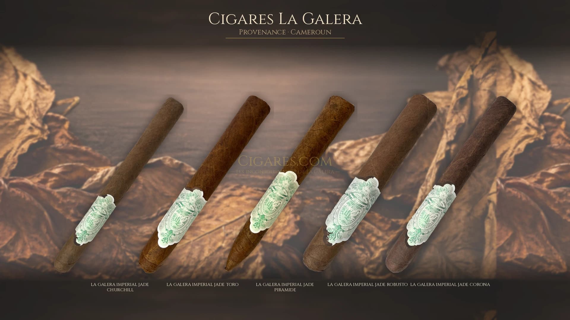 Top cigares La Galera Cameroun — les plus populaires