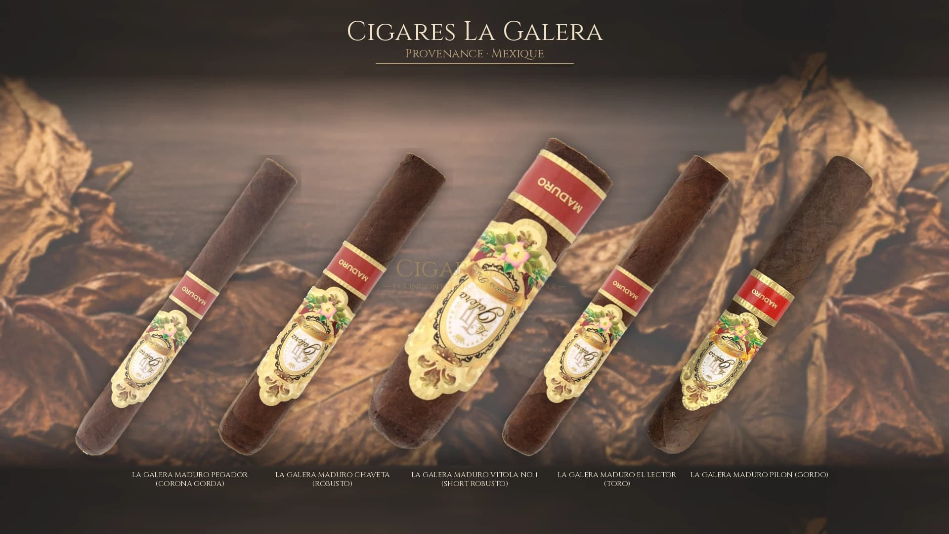 Top cigares La Galera Mexique — les plus populaires