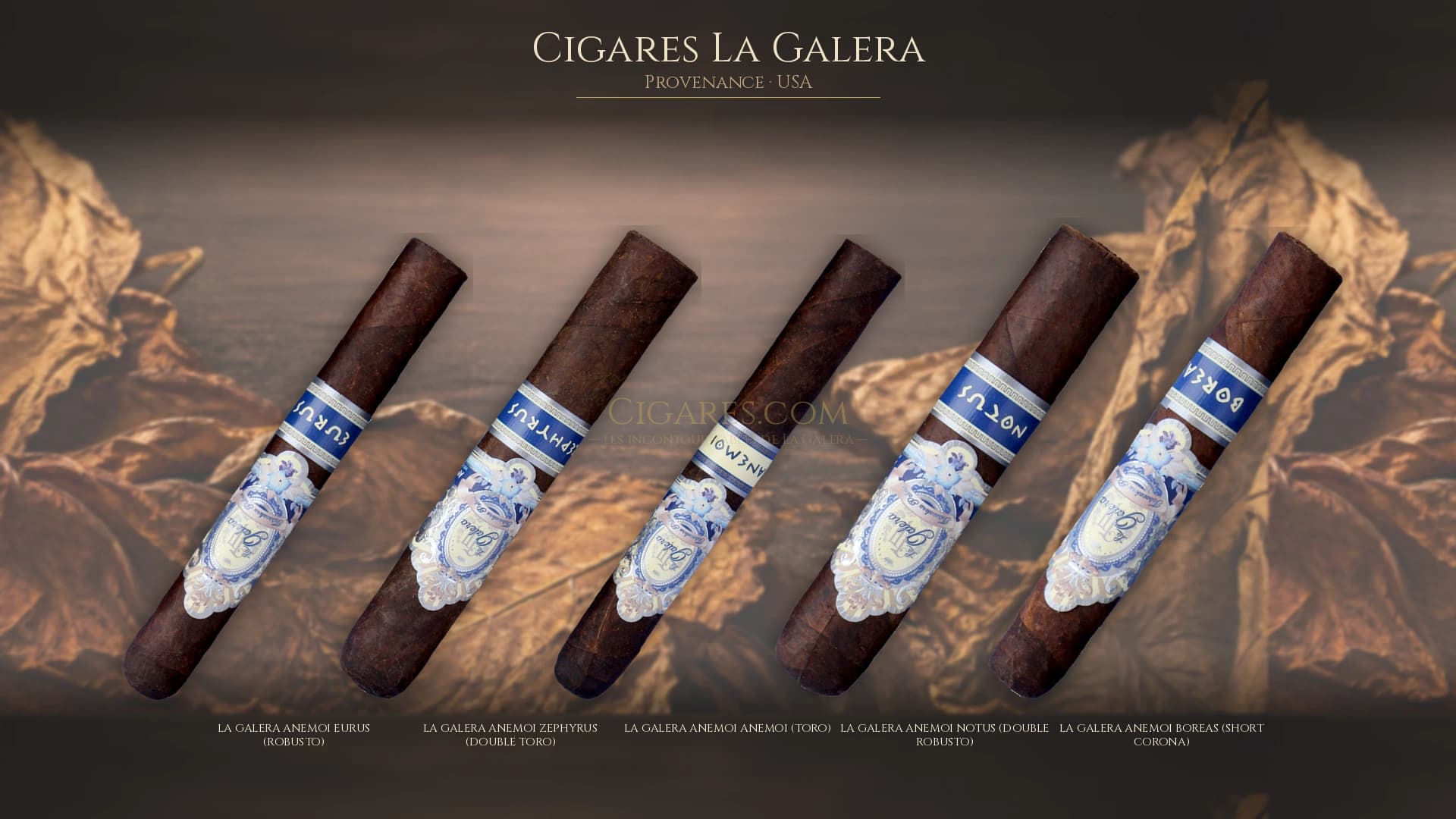 Top cigares La Galera Usa — les plus populaires