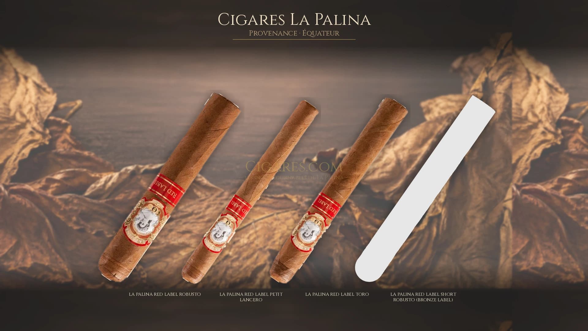 Top cigares La Palina Equateur — les plus populaires