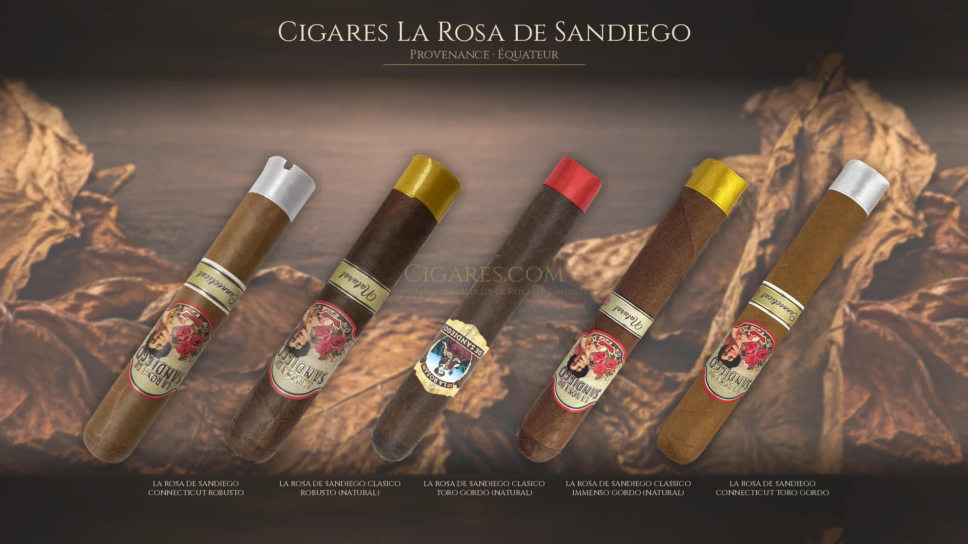 Top cigares La Rosa de Sandiego Equateur — les plus populaires