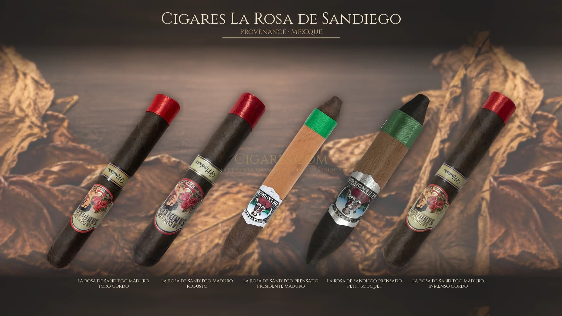 Top cigares La Rosa de Sandiego Mexique — les plus populaires