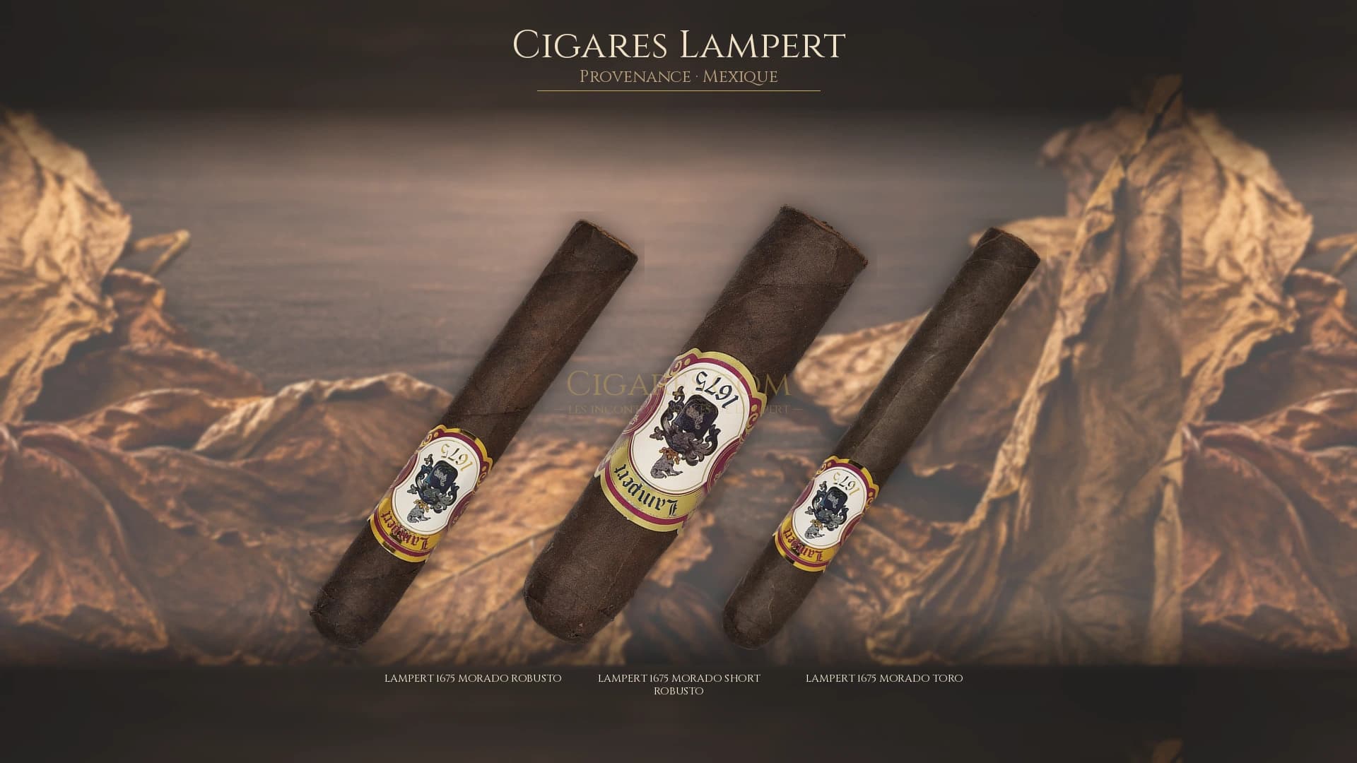 Top cigares Lampert Mexique — les plus populaires