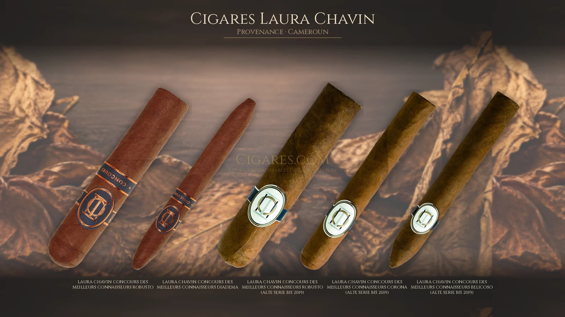 Top cigares Laura Chavin Cameroun — les plus populaires