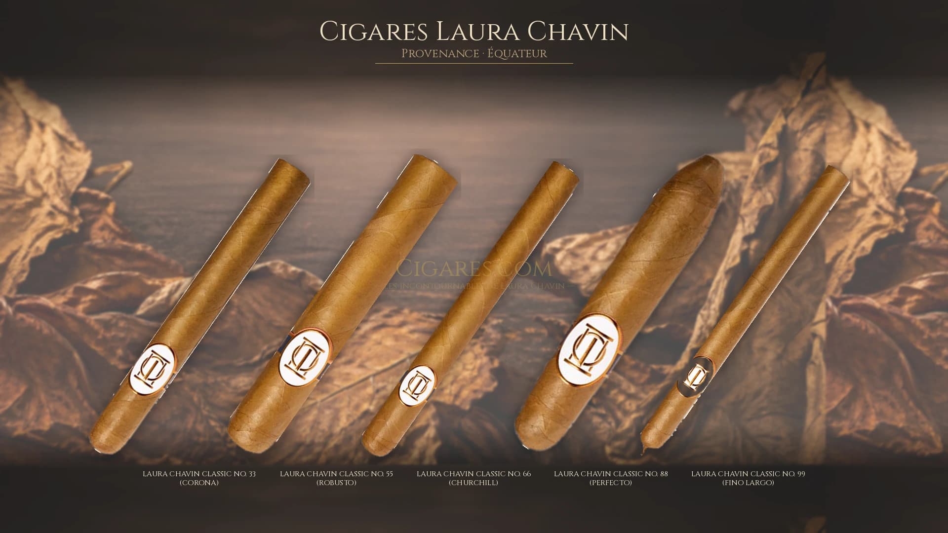 Top cigares Laura Chavin Equateur — les plus populaires