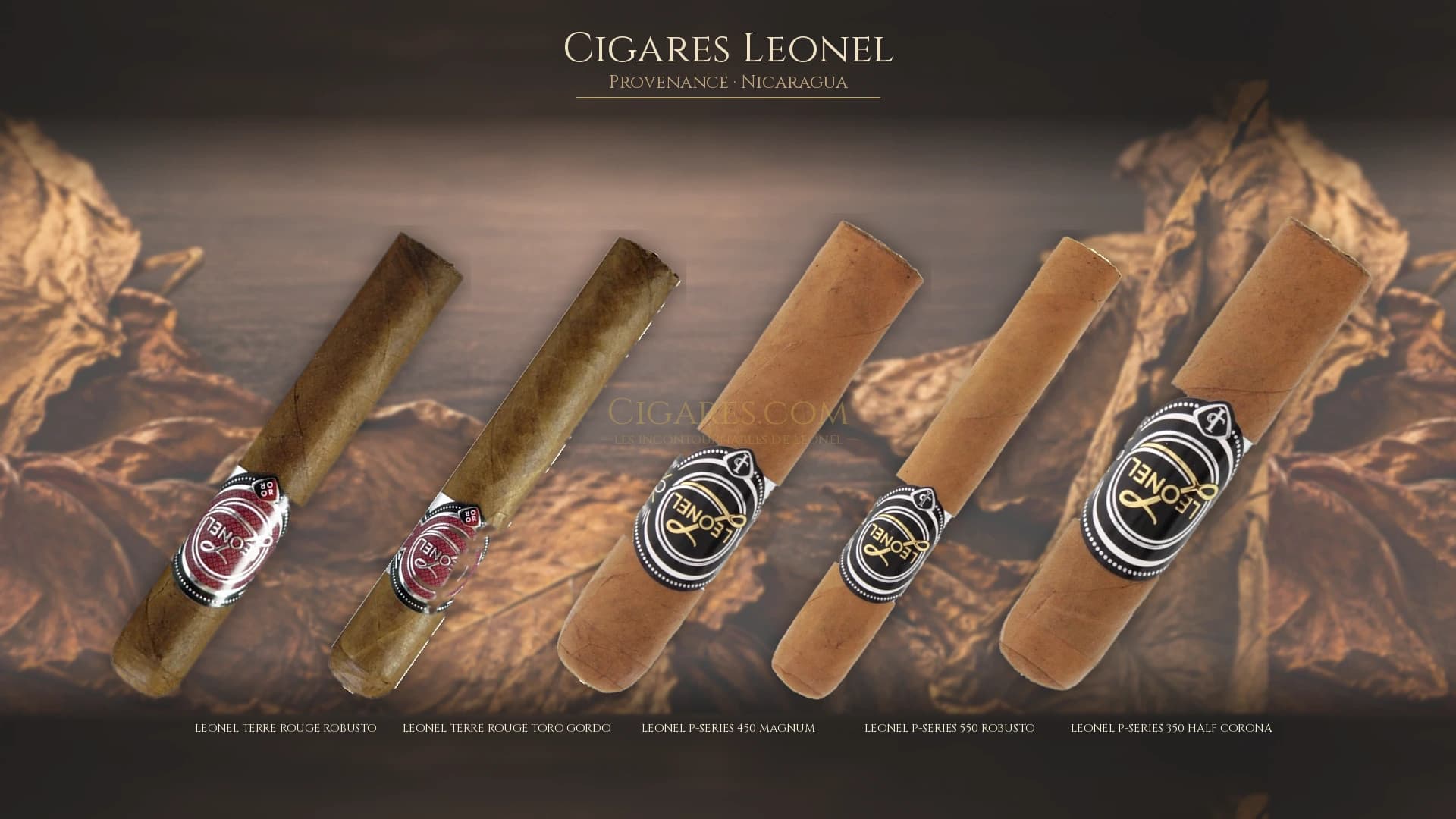 Top cigares Leonel Nicaragua — les plus populaires