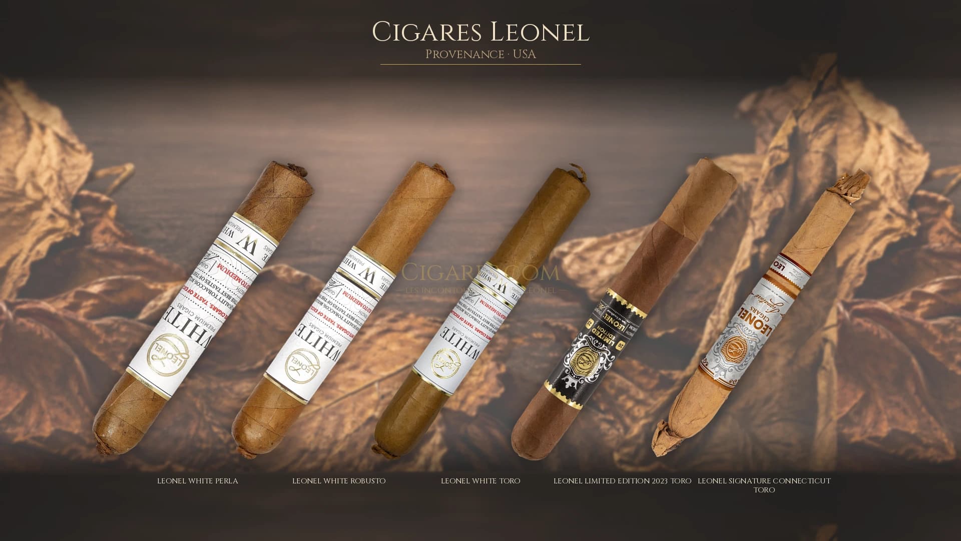 Top cigares Leonel Usa — les plus populaires
