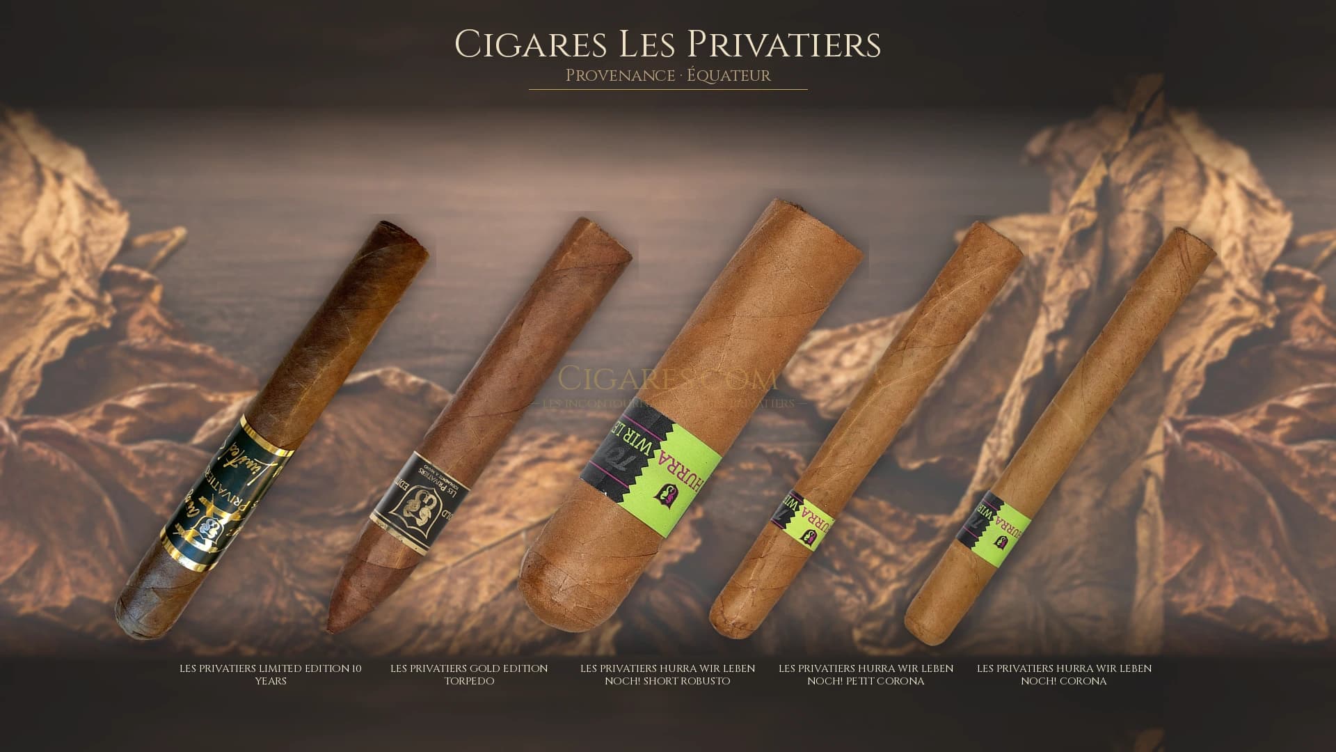Top cigares Les Privatiers Equateur — les plus populaires