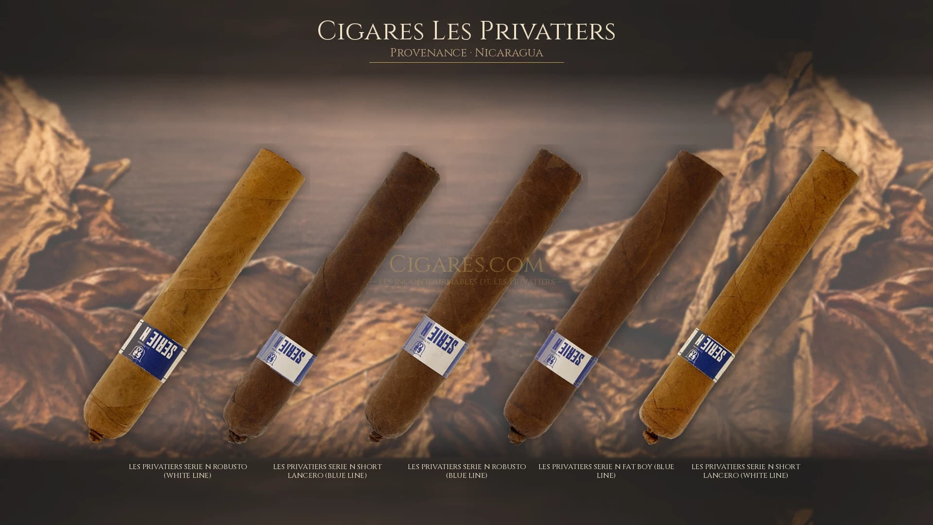 Top cigares Les Privatiers Nicaragua — les plus populaires