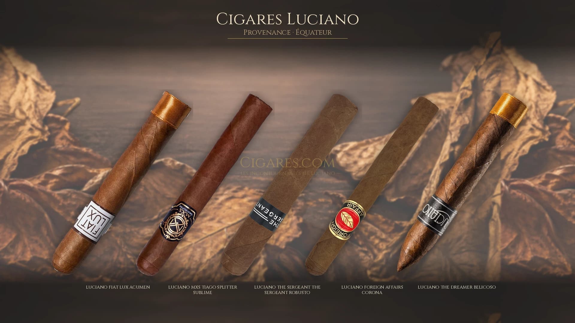 Top cigares Luciano Equateur — les plus populaires