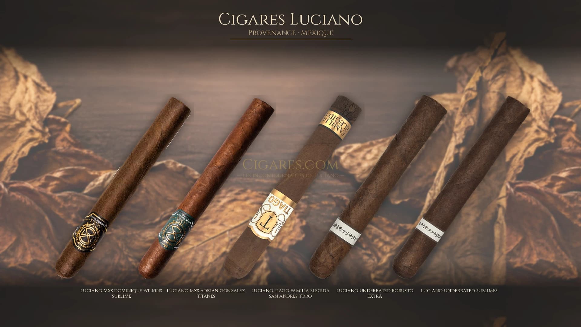 Top cigares Luciano Mexique — les plus populaires