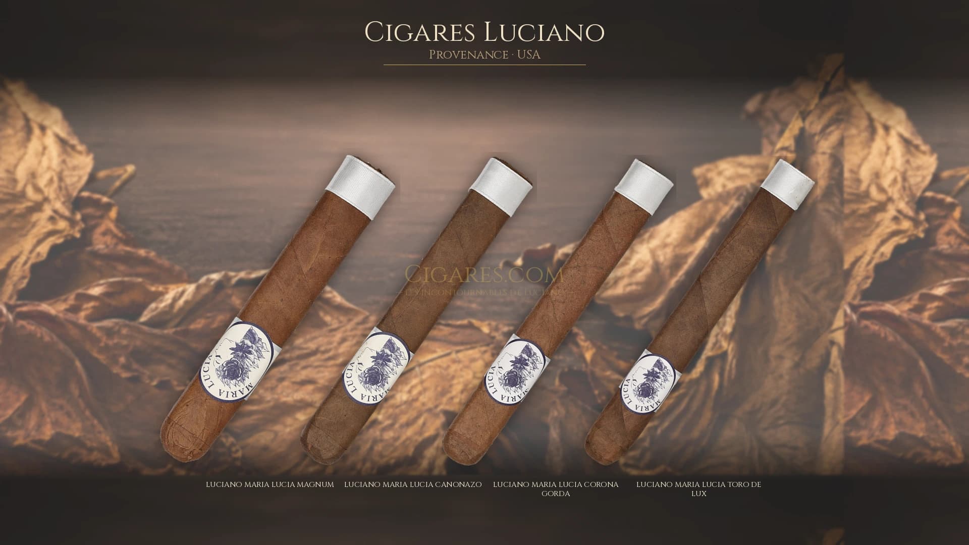 Top cigares Luciano Usa — les plus populaires