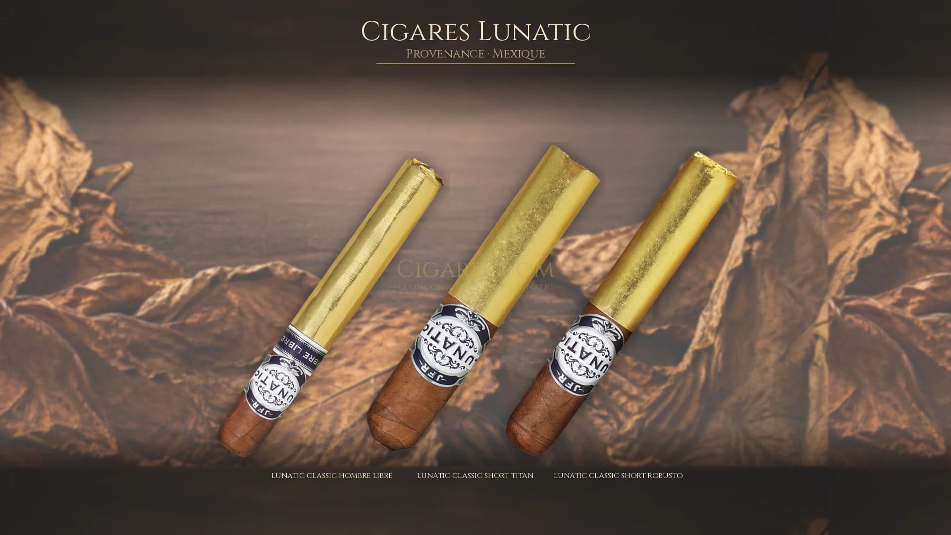 Top cigares Lunatic Mexique — les plus populaires