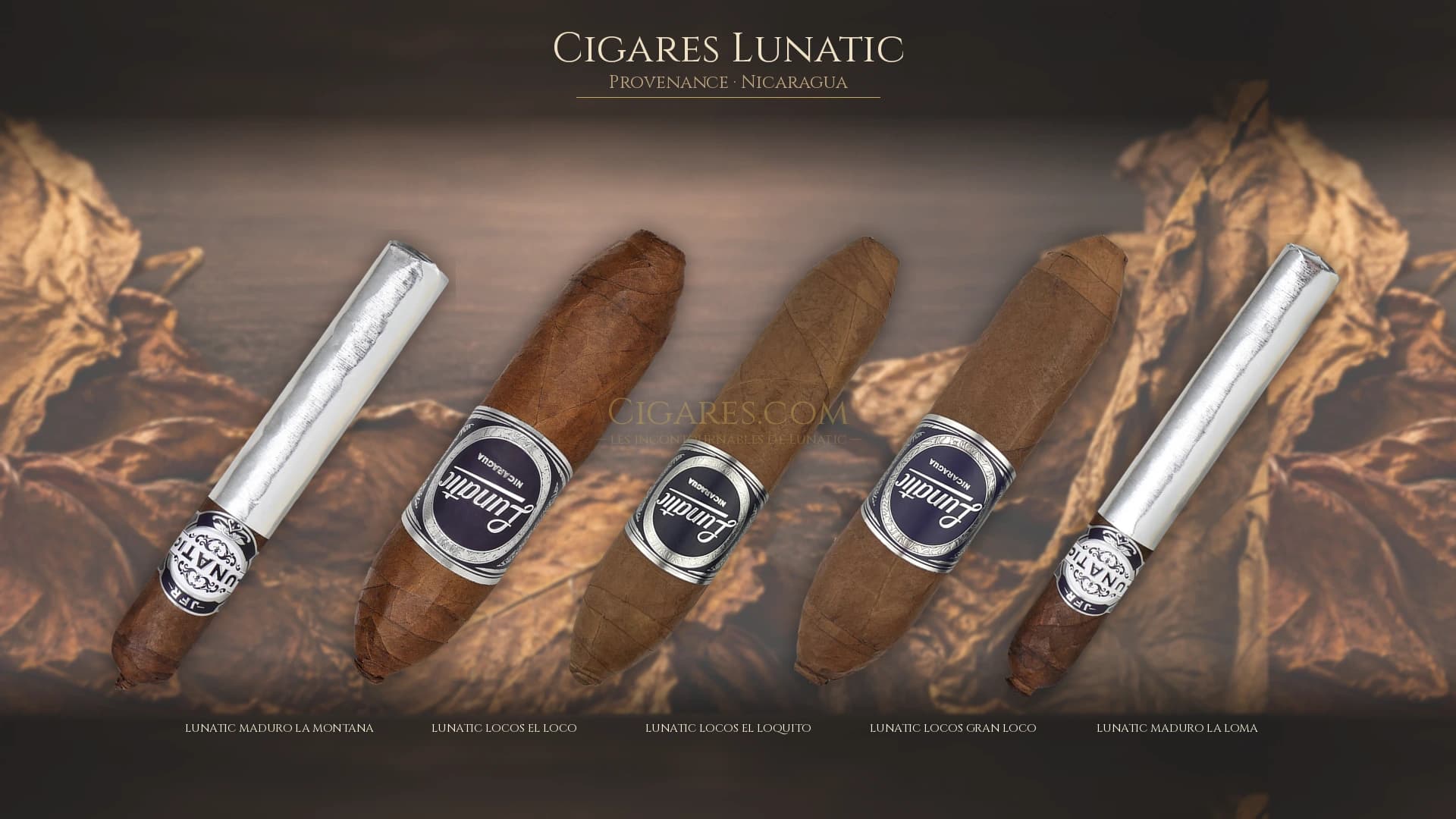 Top cigares Lunatic Nicaragua — les plus populaires