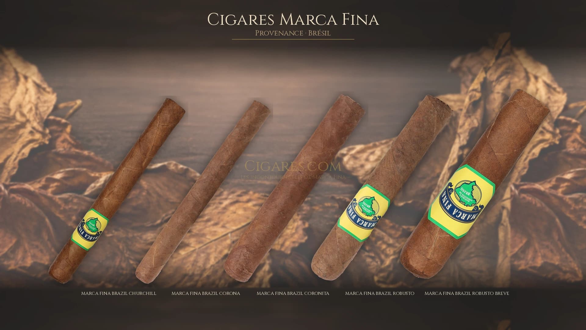 Top cigares Marca Fina Bresil — les plus populaires