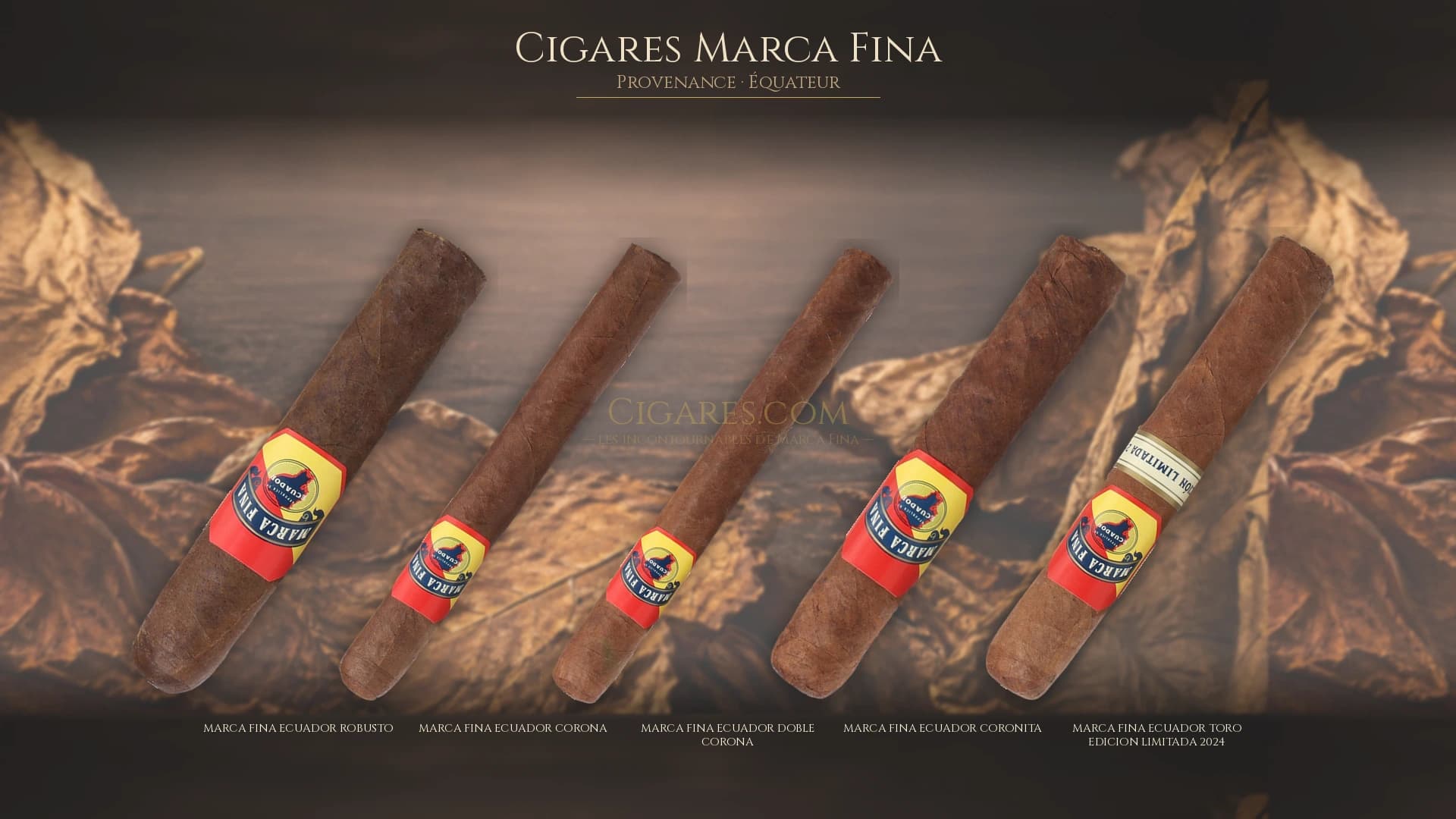 Top cigares Marca Fina Equateur — les plus populaires