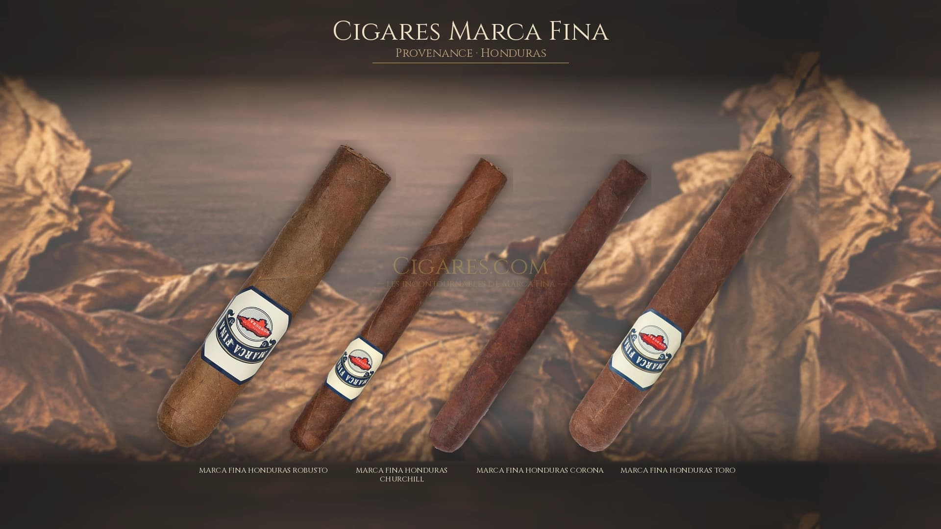 Top cigares Marca Fina Honduras — les plus populaires
