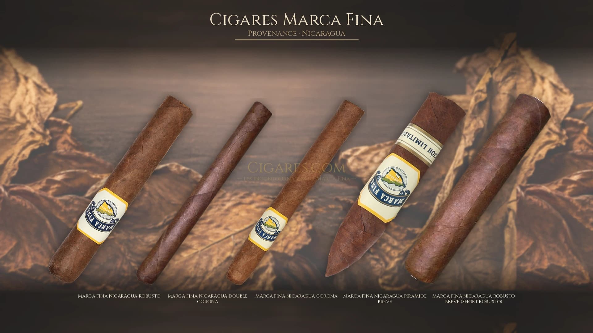 Top cigares Marca Fina Nicaragua — les plus populaires