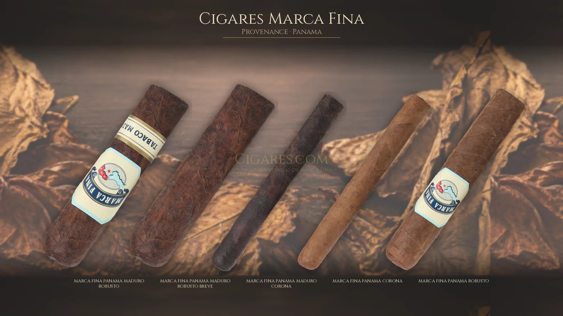 Top cigares Marca Fina Panama — les plus populaires