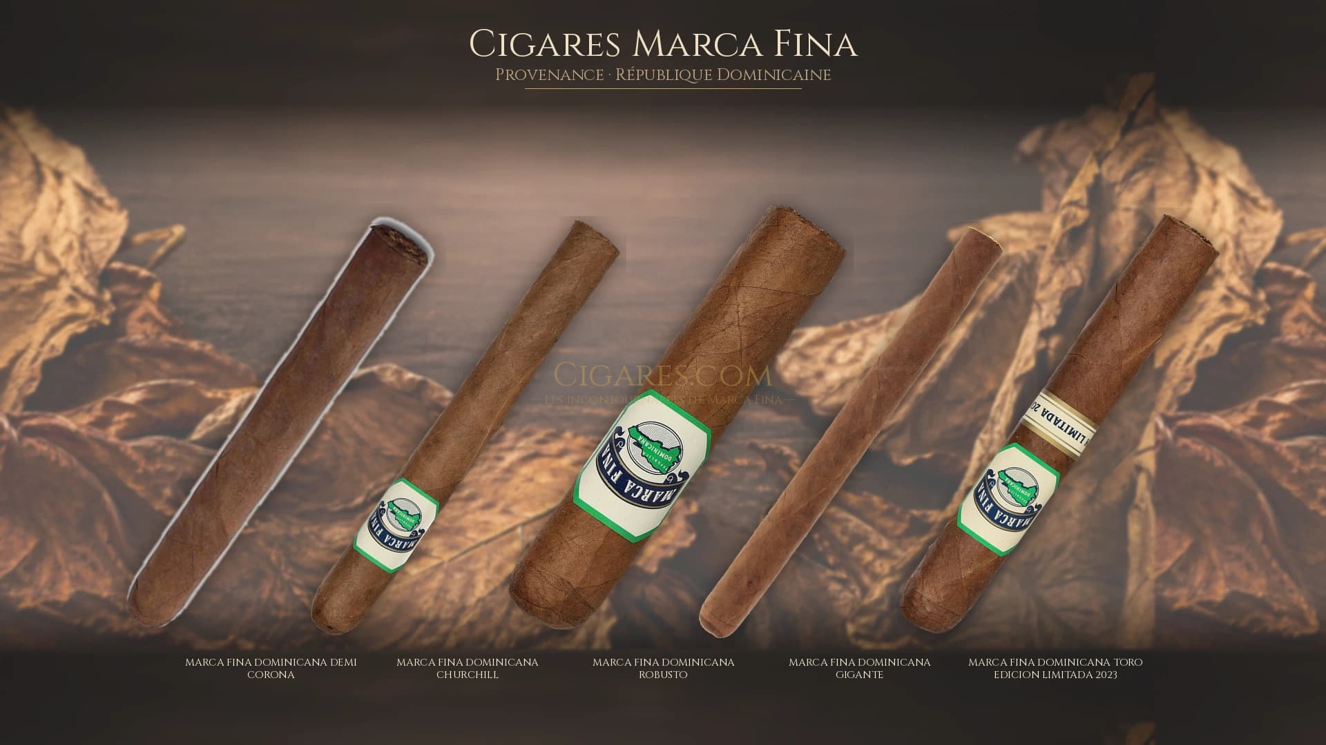 Top cigares Marca Fina Republique Dominicaine — les plus populaires