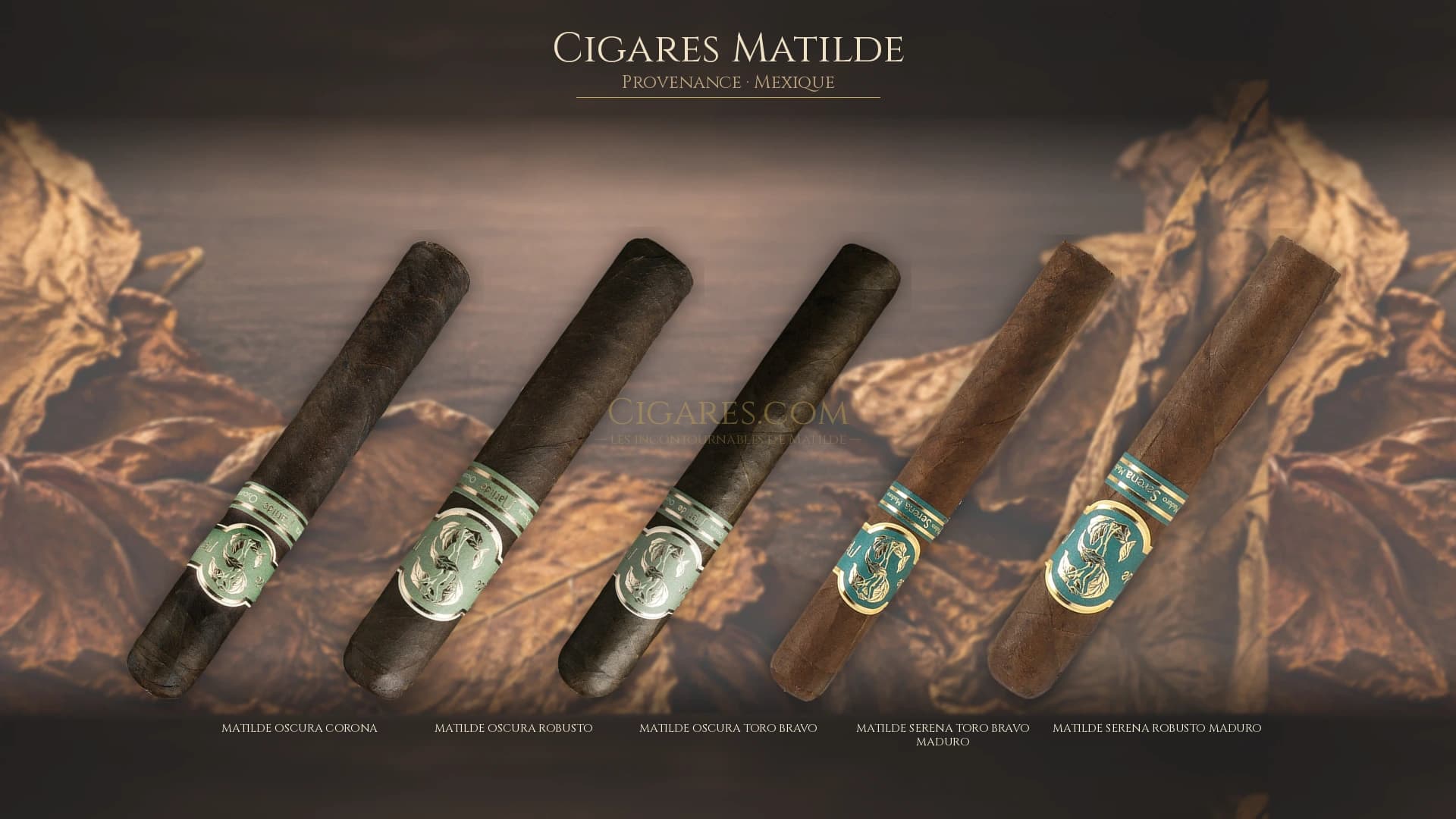 Top cigares Matilde Mexique — les plus populaires