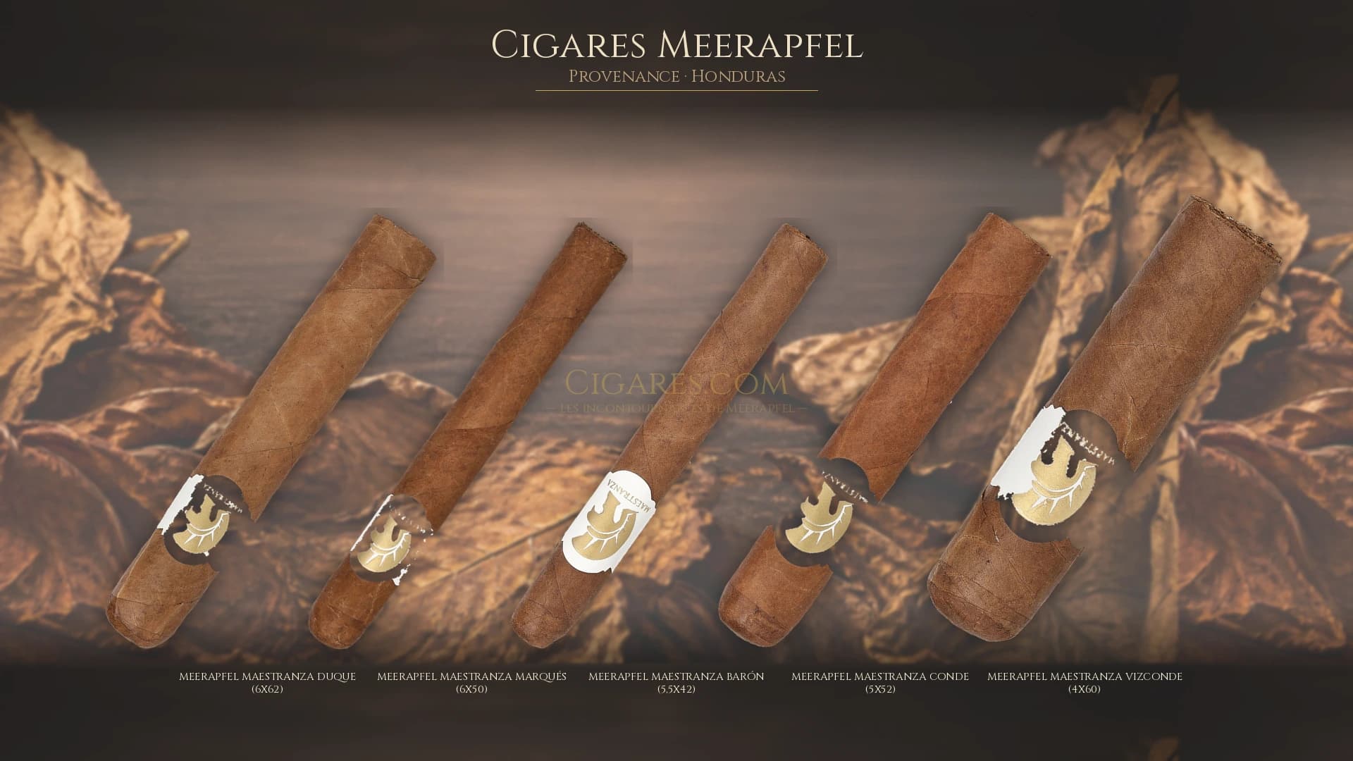 Top cigares Meerapfel Honduras — les plus populaires