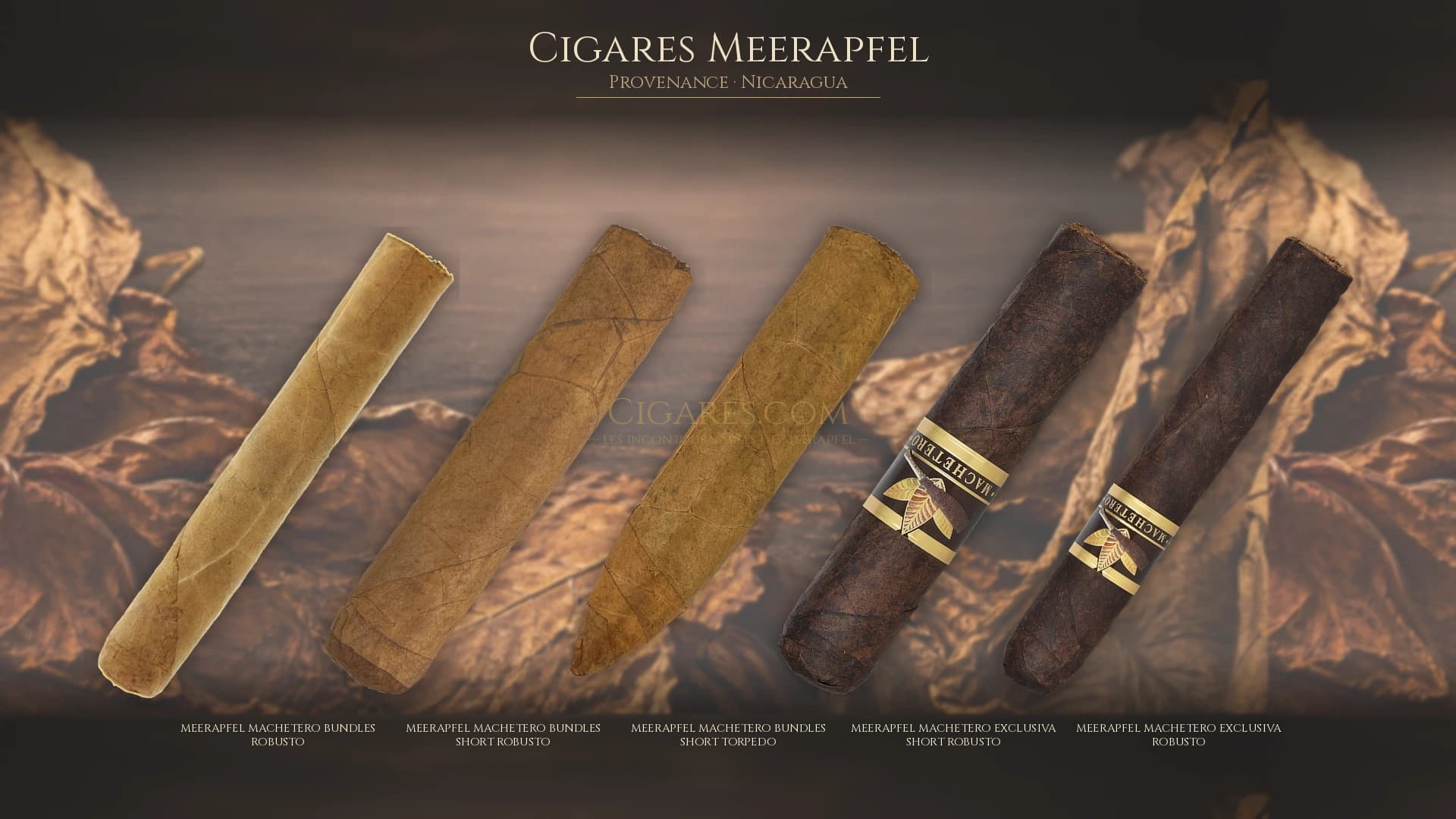 Top cigares Meerapfel Nicaragua — les plus populaires