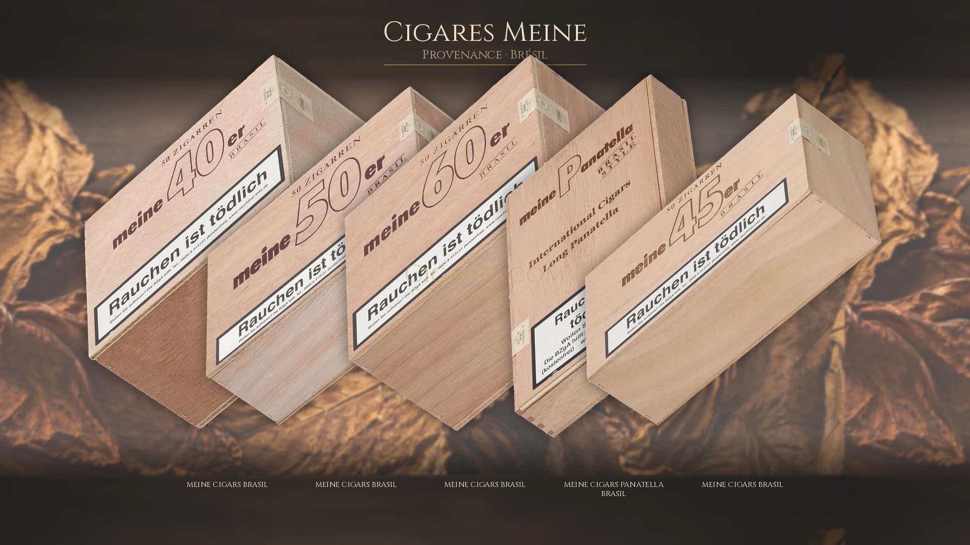 Top cigares Meine Bresil — les plus populaires