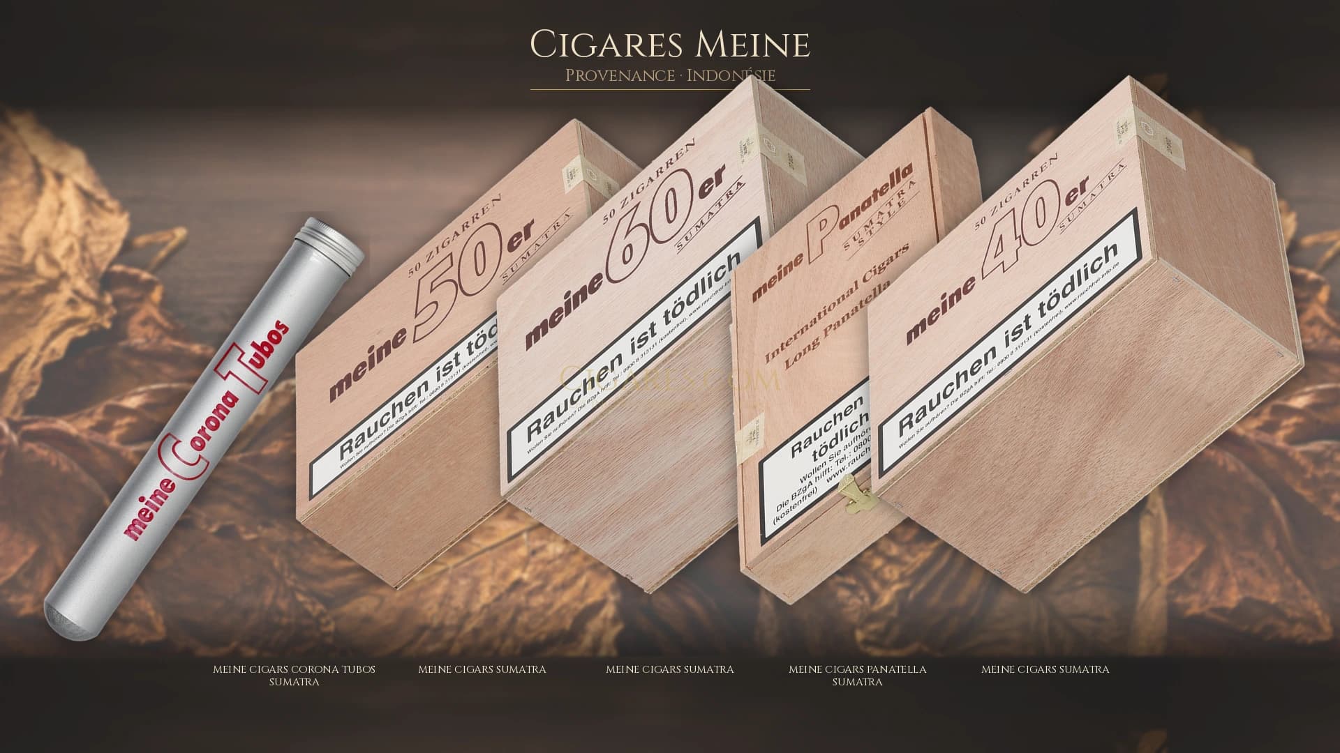 Top cigares Meine Indonesie — les plus populaires