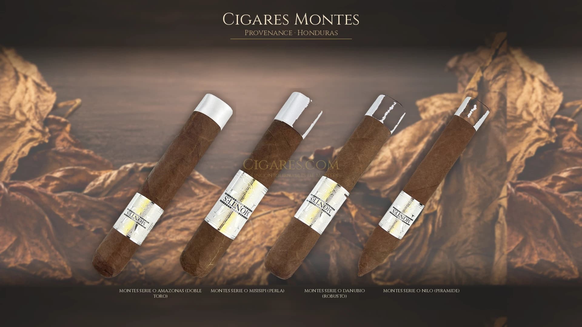 Top cigares Montes Honduras — les plus populaires