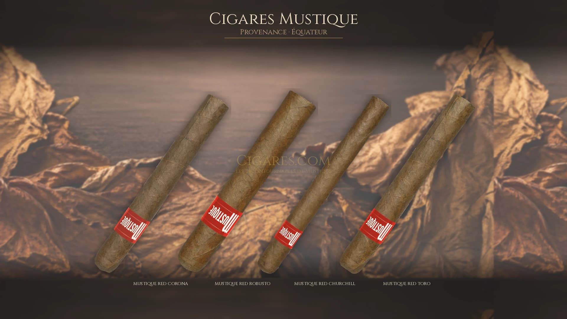 Top cigares Mustique Equateur — les plus populaires