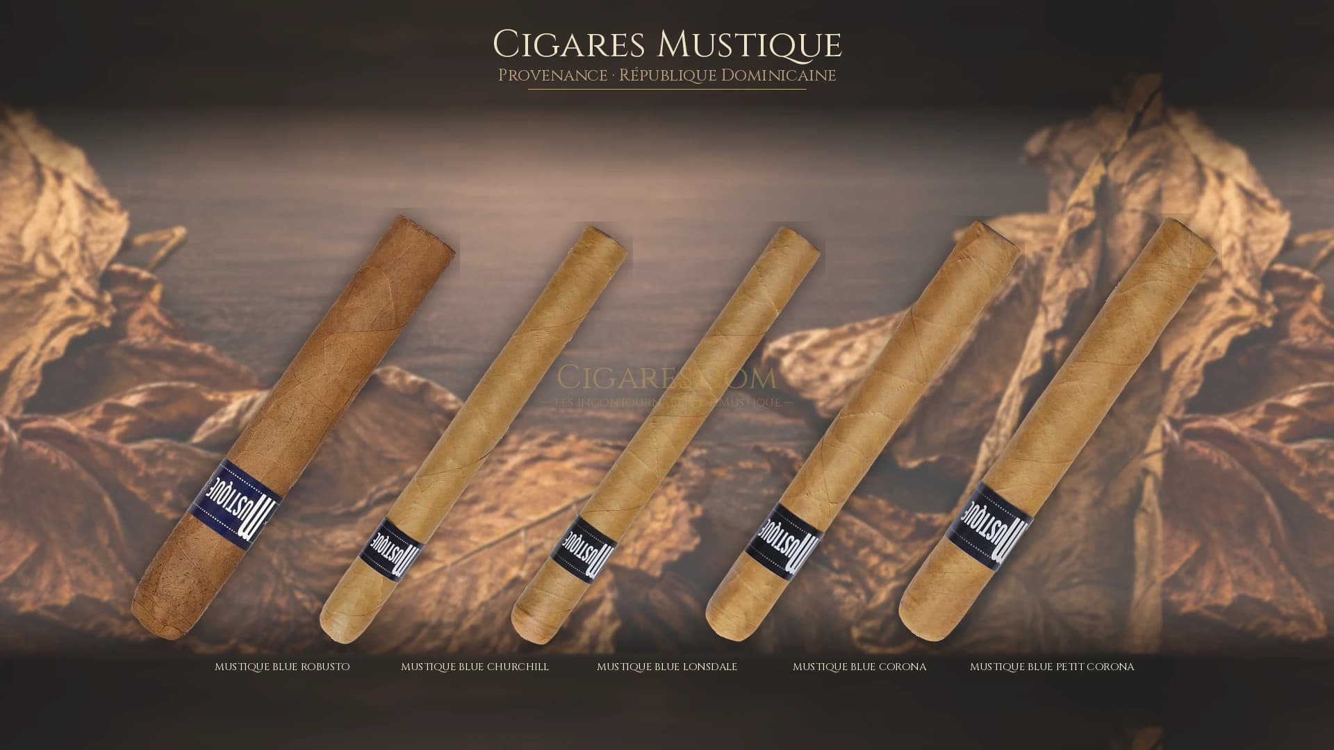 Top cigares Mustique Republique Dominicaine — les plus populaires