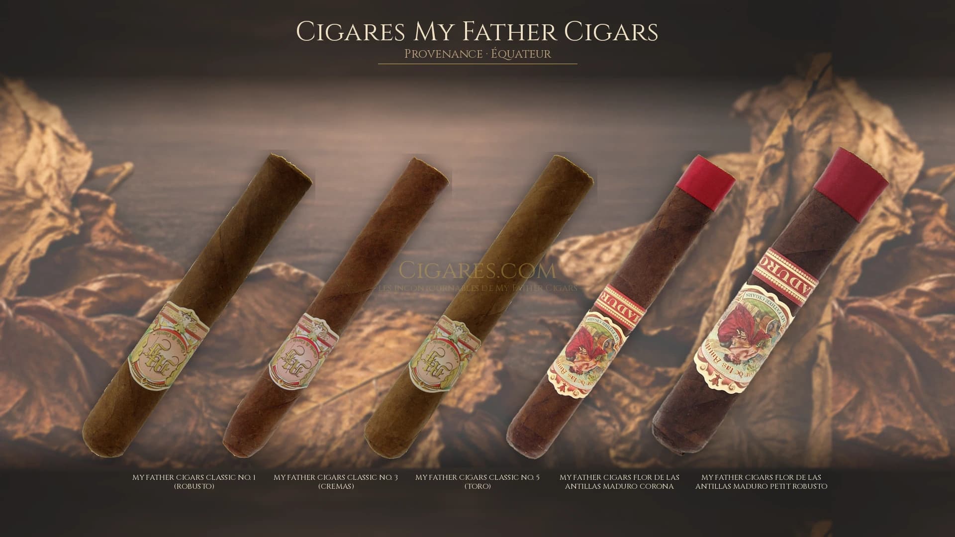 Top cigares My Father Cigars Equateur — les plus populaires