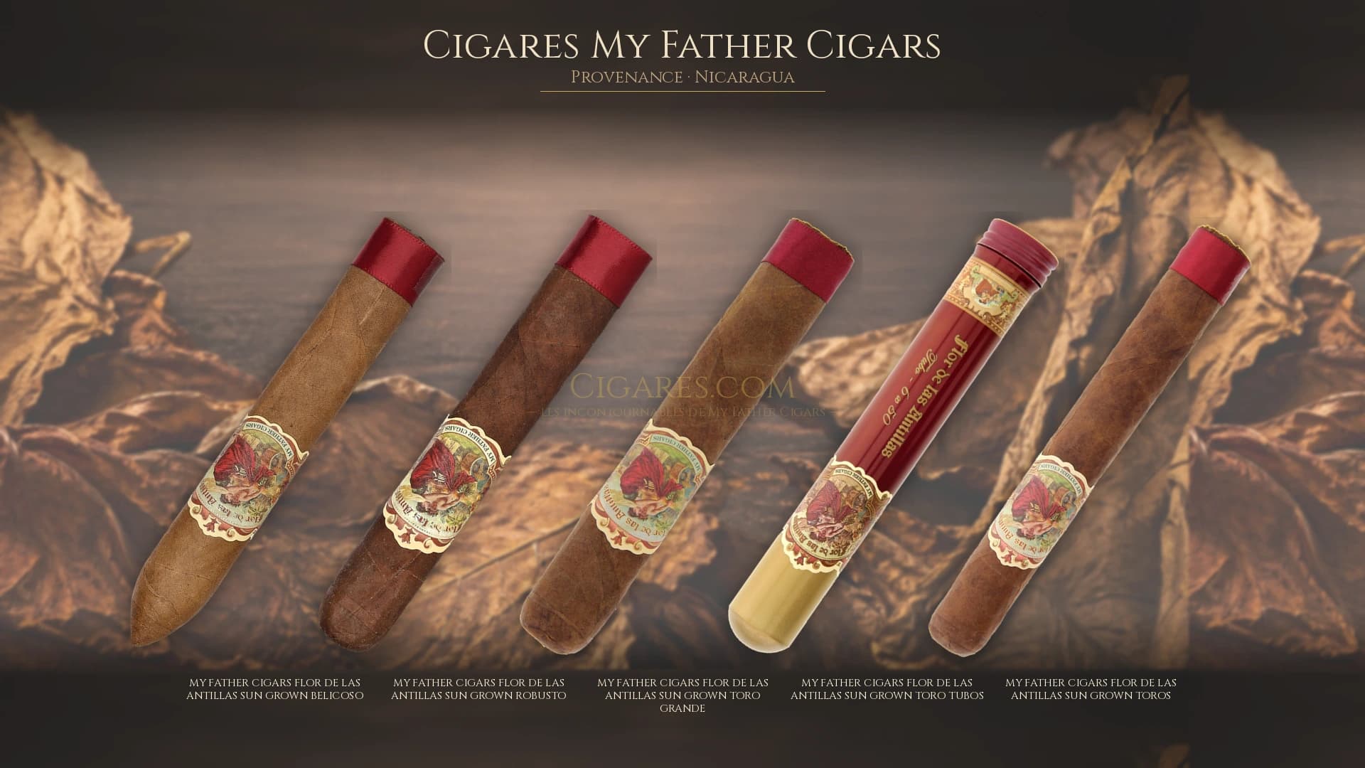Top cigares My Father Cigars Nicaragua — les plus populaires